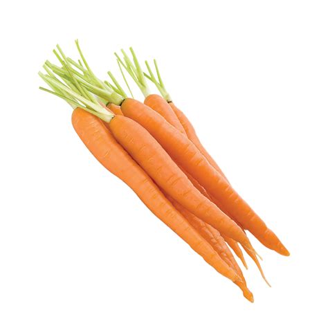 Baby Carrot Vegetable Carrot Png Download 24802480 Free