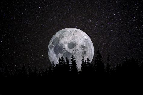 Full Moon 4k Wallpaper Forest Night Dark Starry Sky