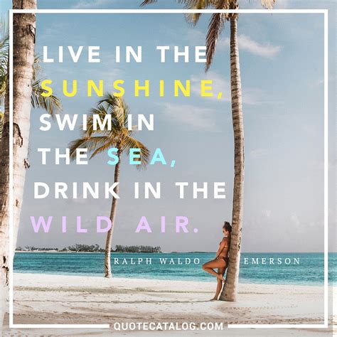 Live In The Sunshine Swim In The Sea Emerson
