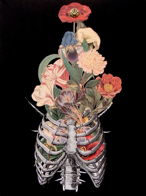 Bone Bouquet Anatomical Collage Art By Travis Bedel Anatomy Art