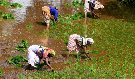 Tamil Nadu Farmers To Protest On Aug Against State Govt Telangana Today