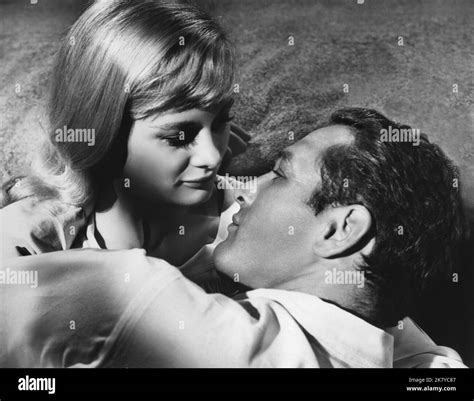 shirley knight and paul newman film sweet bird of youth usa 1962 characters heavenly finley