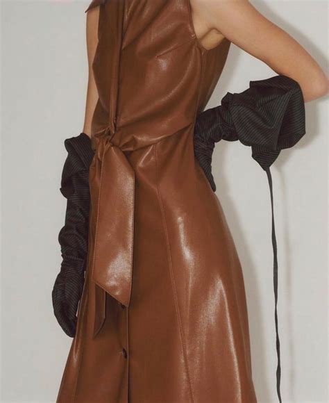 A Woman Wearing A Brown Leather Dress And Black Gloves