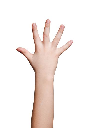 Childrens Hand Isolated On White Stock Photo Download Image Now