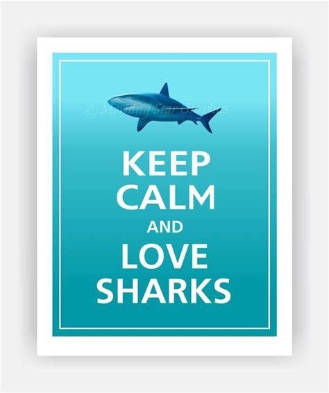Love Sharks Calm Art Keep Calm And Love Shark