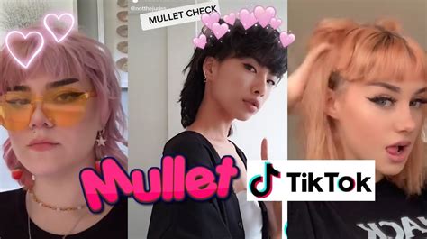 Top 52 Imagen Mullet Tiktok Ecovermx