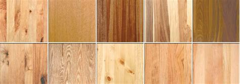 There are different types of kitchen cabinet doors. MN Custom Cabinet Shop | Custom Cabinets