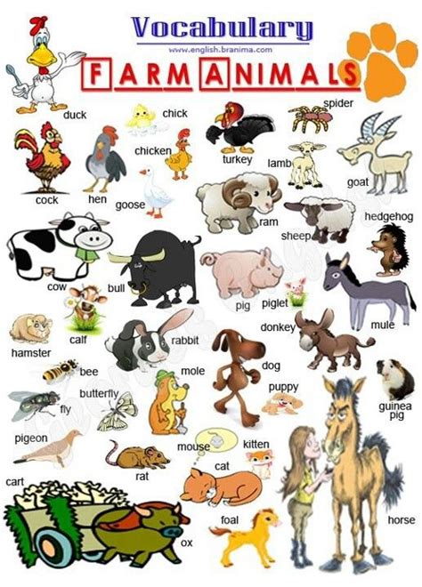 Farm Animals Learn English Vocabulary Learning English For Kids