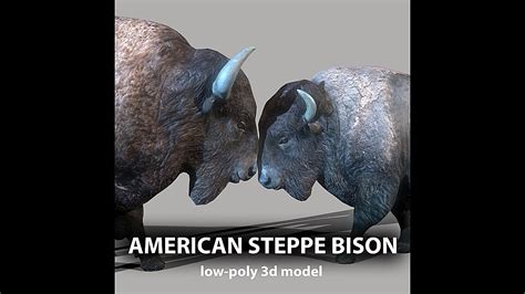 American Steppe Bison Low Poly 3d Model