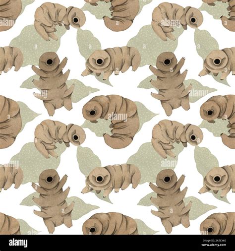 Seamless Watercolor Pattern Tardigrades Cute Water Bear Stock Photo