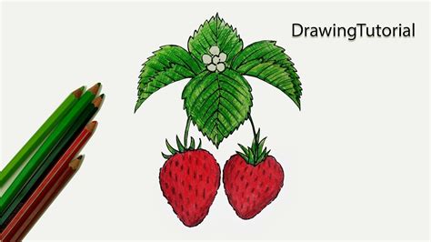 how to draw strawberry step by step very easy youtube