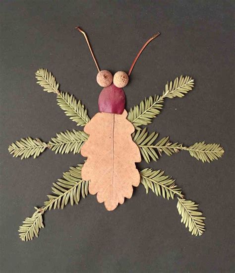 Insect Nature Craft Collage Nature Crafts For Kids