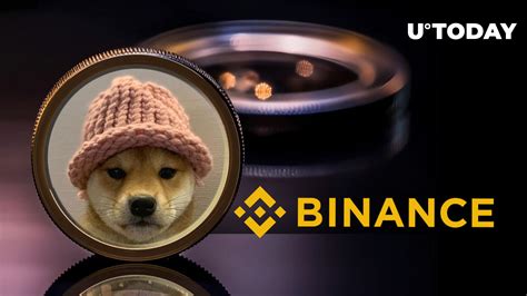 Dogwifhat Wif Coming To Binance New Solana Meme Coin On High Alert