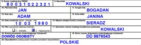 Formularz NIP 1 - przykład wypełnienia (Urząd Skarbowy)