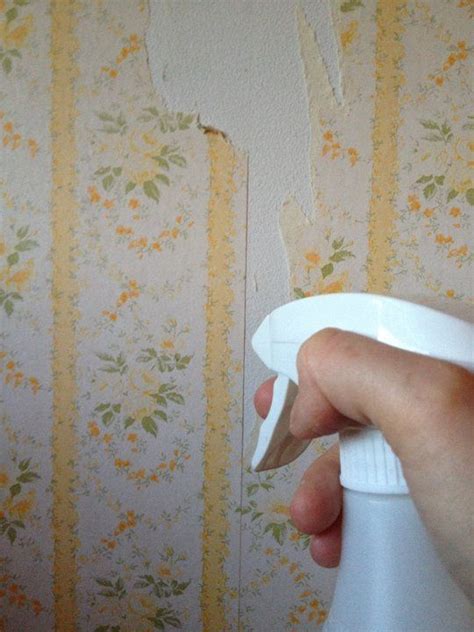 Easy Remove Wallpaper For Apartments