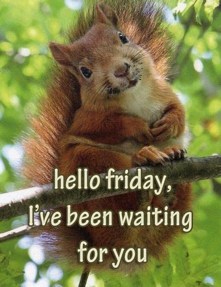 Hello Friday Quotes Quote Friday Happy Friday T Days Of The Week