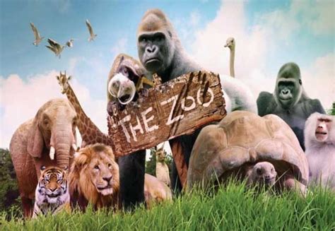 Why Zoos Are Important And Zoo Facts For Tourism Viral Gossip Talk
