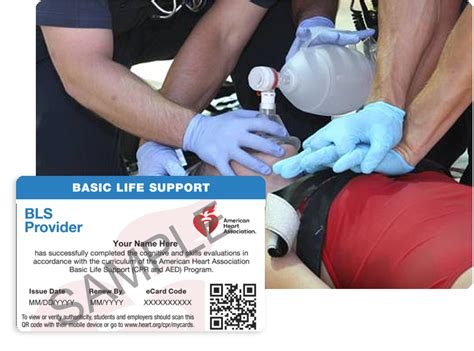 Aha Bls Certification Bls Class And Training Surefire Cpr