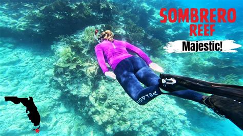 Sombrero Reef Snorkeling Florida Keys Amazing 4k Video Ofbest