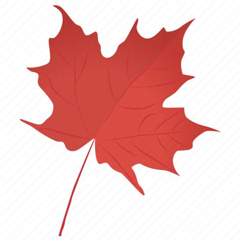 Autumn leaf, foliage, leaf in fall, maple leaf, red maple icon - Download on Iconfinder