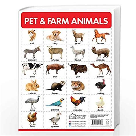 Pet And Farm Animals My First Early Learning Wall Chart For