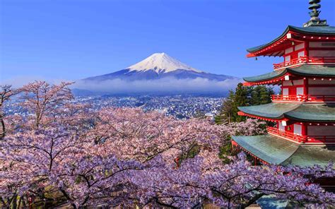Japan Cherry Blossom Festival 2018 Where And When To Visit