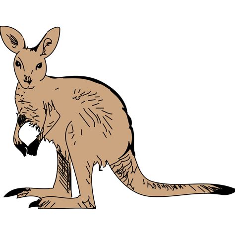 Simple Brown Kangaroo Png Svg Clip Art For Web Download Clip Art