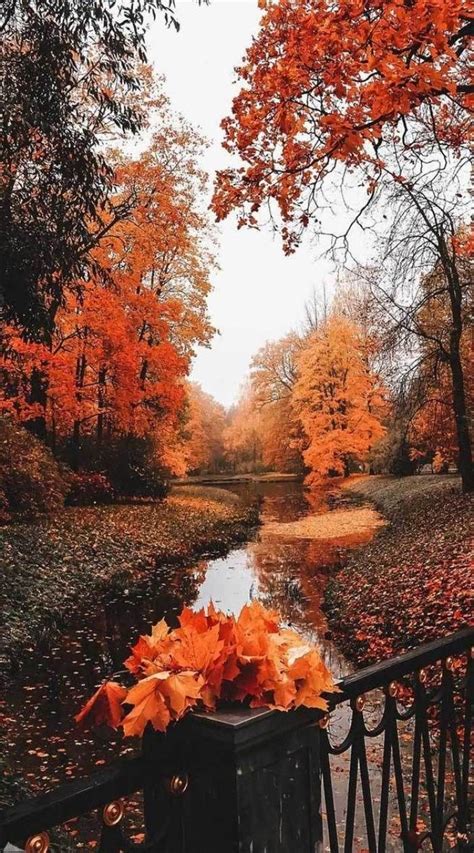 22 Beautiful Autumn Images Autumn Images Free Autumn Aesthetic Fall