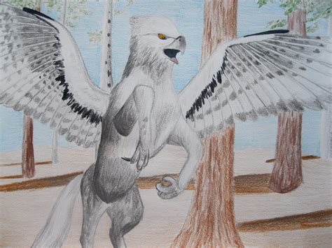 Buckbeak The Hippogriff Art Humanoid Sketch Gryphon