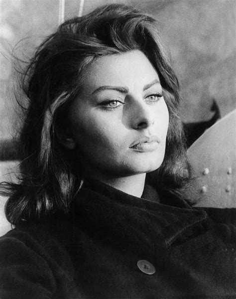Raised in poverty, sophia loren began her film career in 1951 and came to be regarded as one of the worlds most beautiful women. Actress | iheartingrid | Page 3