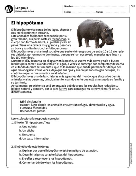 El Hipopótamo” Data Recalc Dims Comprensión Lectora Comprensión