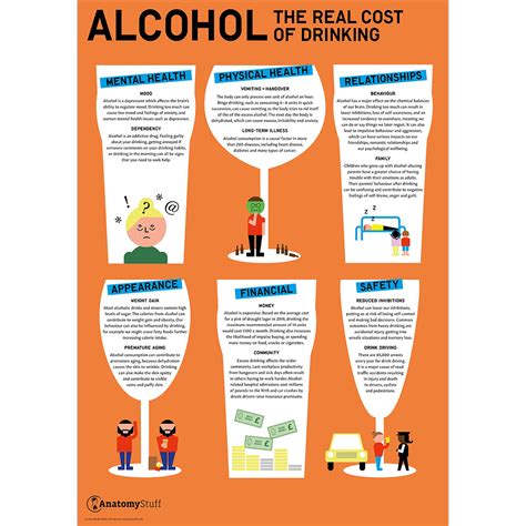 Alcohol The Real Costs Of Drinking Poster Drink Education Chart
