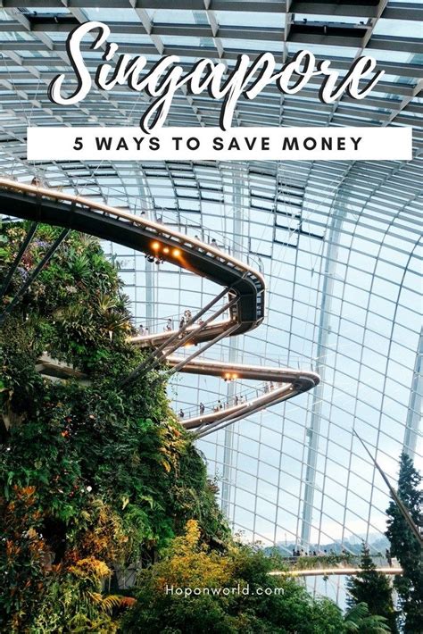 5 Savvy Singapore Budget Tips To Help You Save Money Hoponworld