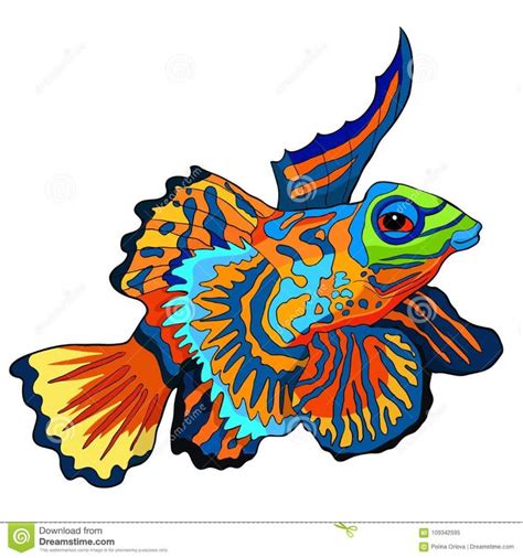 Mandarin Fish Is Chinese Perch Vector Illustration Stock Vector