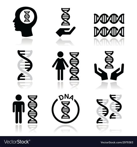 Human Dna Genetics Icons Set Royalty Free Vector Image