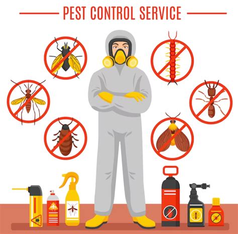 Common Pests Found In Homes And How To Get Rid Of Them Safely News In Headlines