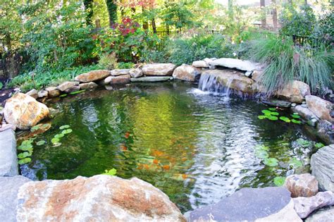 5 Wonderful Reasons To Add A Water Feature To Your Backyard Borsello