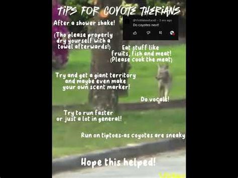 Tips For Coyote Therians Coyotetherians Therianthropy Therians