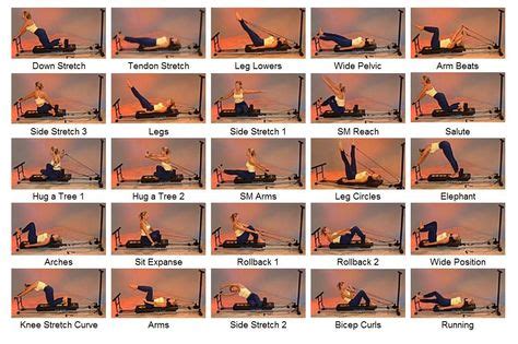 Printable Pilates Chart Bayou Fitness Total Trainer Pilates Pro And