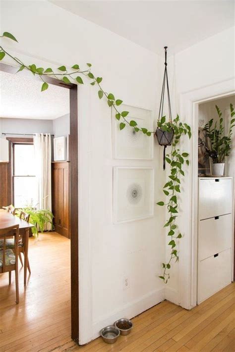 24 Ideas Originales Y Estilosas Para Decorar Con Plantas Plantas Para