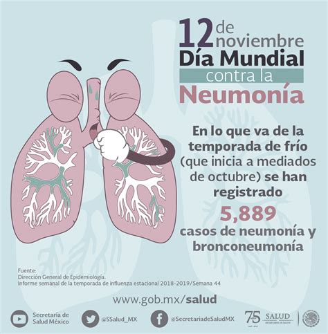 Día Mundial Contra La Neumonía Centro Nacional De Equidad De Género Y Salud Reproductiva