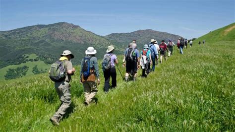Discover Diablo Free Public Guided Hikes And Tours Save Mount Diablo