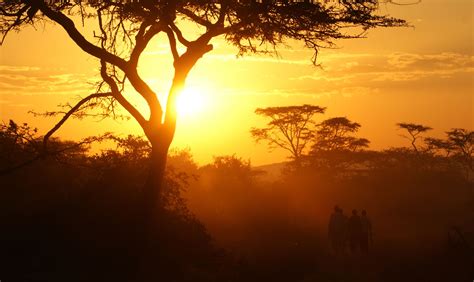 10 Reasons Why Uganda Is Called The Pearl Of Africa Guide 2 Uganda