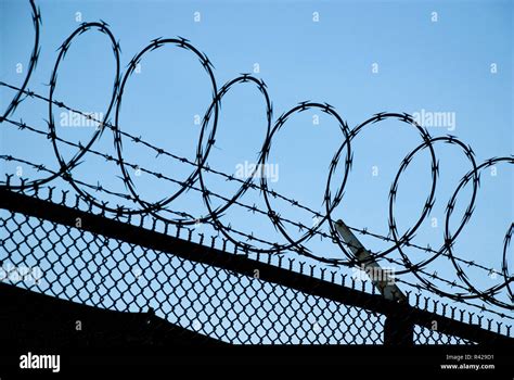 Barbed Wire Danger Prison Stock Photo Alamy