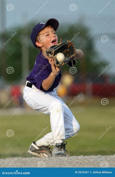 Boy Catching Baseball Stock Image Image Of League Children 2076241