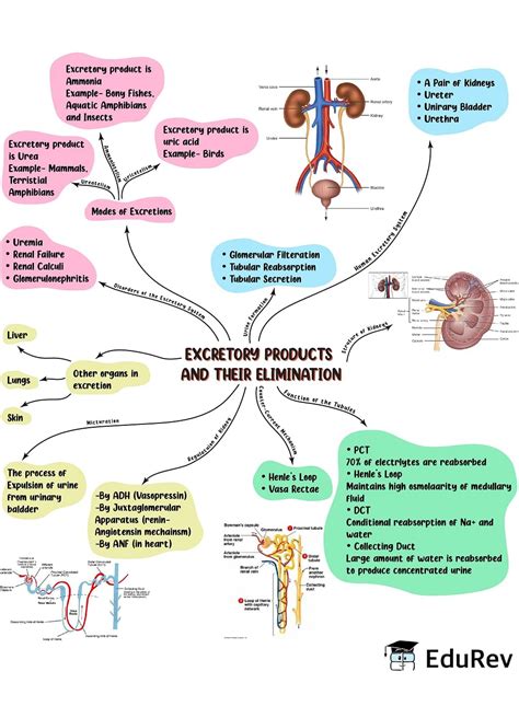 Neet Objective Physics Preparatory Series By Arihant Mind Map