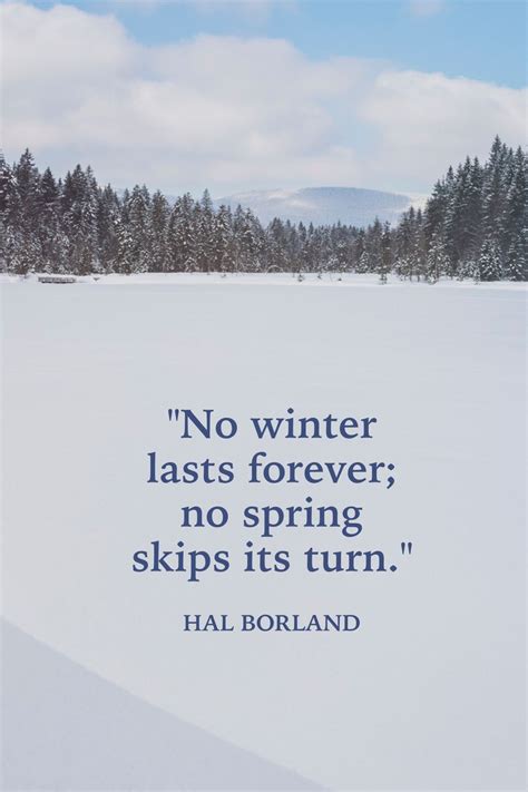 43 Best Winter Quotes Snow Quotes And Sayings Youll Love