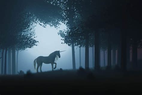 Unicorn Spirit Animal Symbolism And Meaning A Z Animals