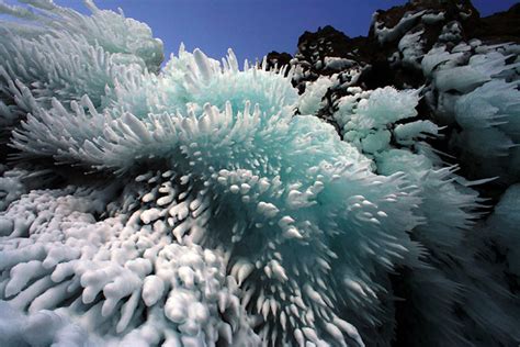 Ice Corals Of Lake Baikal Ice Corals Of Lake Baikal