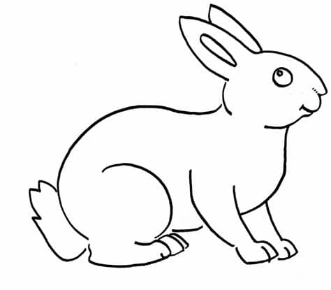 10 Sketsa Gambar Kelinci Hitam Putih Untuk Anak TK dan ...
